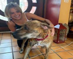 She has two dogs named Casper and Sugar in her home.